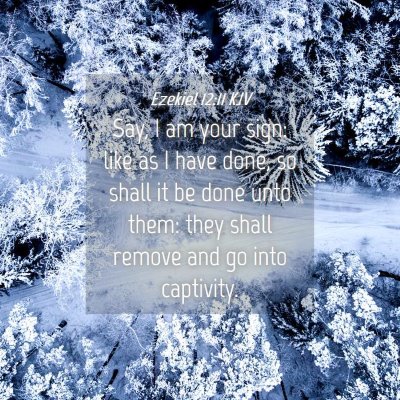Picture 04 - Ezekiel 12:11 KJV - Say, I am your sign: like as I have done, so - Bible Verse Picture