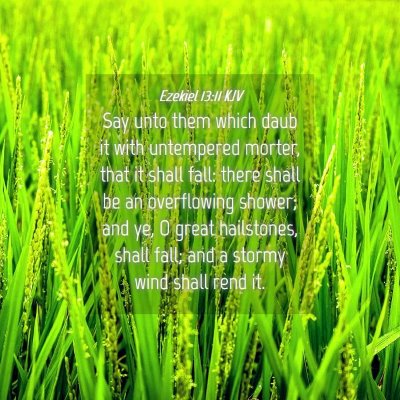 Picture 04 - Ezekiel 13:11 KJV - Say unto them which daub it with untempered - Bible Verse Picture