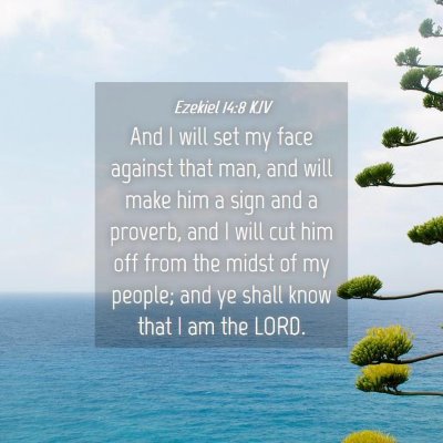 Picture 04 - Ezekiel 14:8 KJV - And I will set my face against that man, and will - Bible Verse Picture