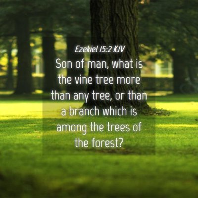 Picture 04 - Ezekiel 15:2 KJV - Son of man, what is the vine tree more than any - Bible Verse Picture