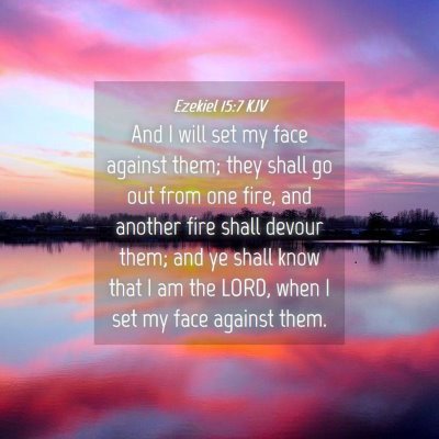 Picture 04 - Ezekiel 15:7 KJV - And I will set my face against them; they shall - Bible Verse Picture
