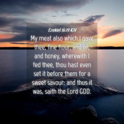 Picture 04 - Ezekiel 16:19 KJV - My meat also which I gave thee, fine flour, and - Bible Verse Picture