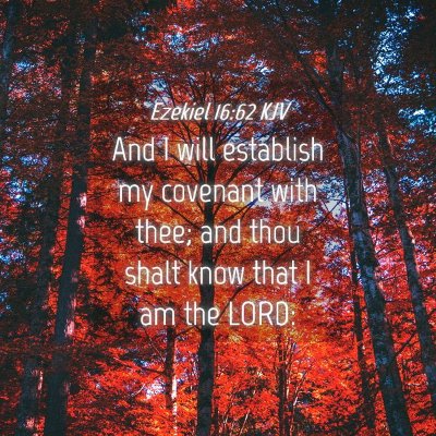 Picture 04 - Ezekiel 16:62 KJV - And I will establish my covenant with thee; and - Bible Verse Picture