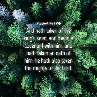 Picture 04 - Ezekiel 17:13 KJV - And hath taken of the king's seed, and made a - Bible Verse Picture