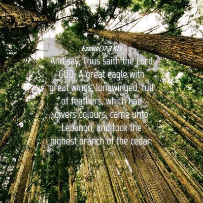 Picture 04 - Ezekiel 17:3 KJV - And say, Thus saith the Lord GOD; A great eagle - Bible Verse Picture
