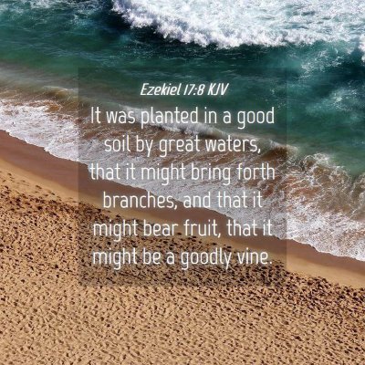Picture 04 - Ezekiel 17:8 KJV - It was planted in a good soil by great waters, - Bible Verse Picture