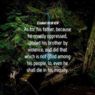 Picture 04 - Ezekiel 18:18 KJV - As for his father, because he cruelly oppressed, - Bible Verse Picture