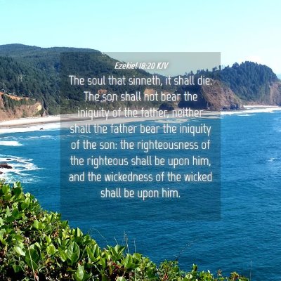 Picture 04 - Ezekiel 18:20 KJV - The soul that sinneth, it shall die. The son - Bible Verse Picture