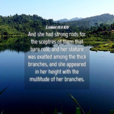 Picture 04 - Ezekiel 19:11 KJV - And she had strong rods for the sceptres of them - Bible Verse Picture
