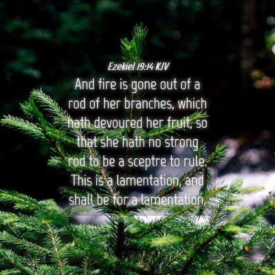 Picture 04 - Ezekiel 19:14 KJV - And fire is gone out of a rod of her branches, - Bible Verse Picture