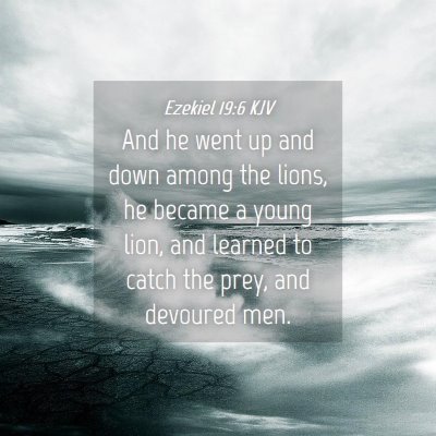 Picture 04 - Ezekiel 19:6 KJV - And he went up and down among the lions, he - Bible Verse Picture