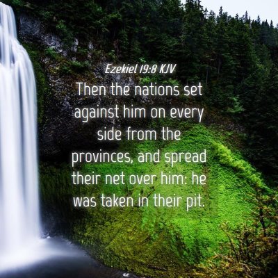 Picture 04 - Ezekiel 19:8 KJV - Then the nations set against him on every side - Bible Verse Picture