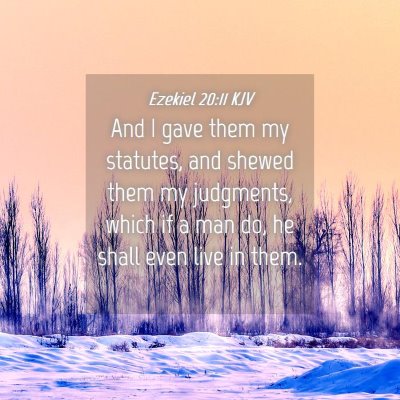 Picture 04 - Ezekiel 20:11 KJV - And I gave them my statutes, and shewed them my - Bible Verse Picture