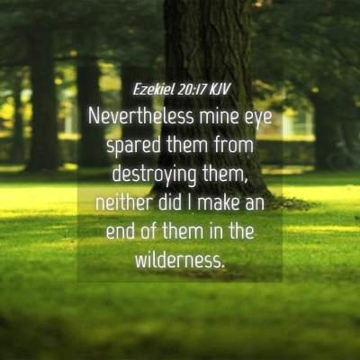 Picture 04 - Ezekiel 20:17 KJV - Nevertheless mine eye spared them from destroying - Bible Verse Picture