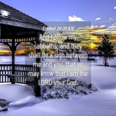 Picture 04 - Ezekiel 20:20 KJV - And hallow my sabbaths; and they shall be a sign - Bible Verse Picture