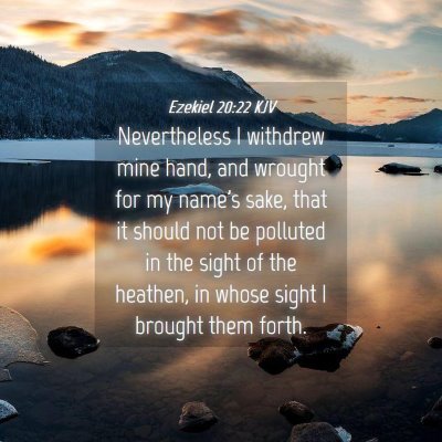 Picture 04 - Ezekiel 20:22 KJV - Nevertheless I withdrew mine hand, and wrought - Bible Verse Picture