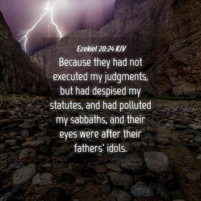 Picture 04 - Ezekiel 20:24 KJV - Because they had not executed my judgments, but - Bible Verse Picture