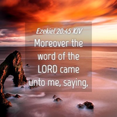 Picture 04 - Ezekiel 20:45 KJV - Moreover the word of the LORD came unto me, - Bible Verse Picture