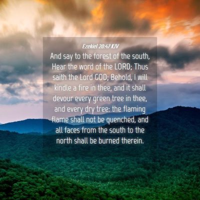 Picture 04 - Ezekiel 20:47 KJV - And say to the forest of the south, Hear the word - Bible Verse Picture
