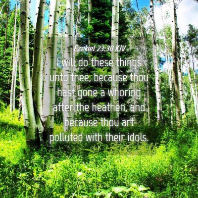 Picture 04 - Ezekiel 23:30 KJV - I will do these things unto thee, because thou - Bible Verse Picture