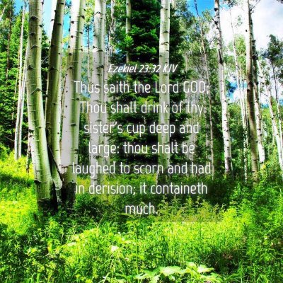 Picture 04 - Ezekiel 23:32 KJV - Thus saith the Lord GOD; Thou shalt drink of thy - Bible Verse Picture