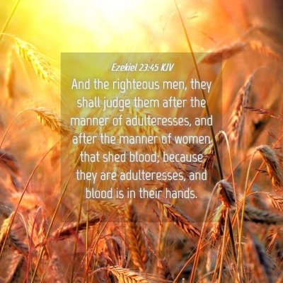 Picture 04 - Ezekiel 23:45 KJV - And the righteous men, they shall judge them - Bible Verse Picture