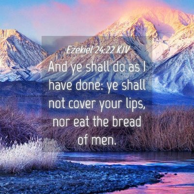 Picture 04 - Ezekiel 24:22 KJV - And ye shall do as I have done: ye shall not - Bible Verse Picture