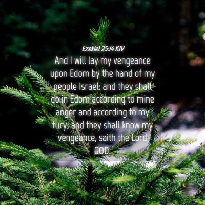 Picture 04 - Ezekiel 25:14 KJV - And I will lay my vengeance upon Edom by the hand - Bible Verse Picture