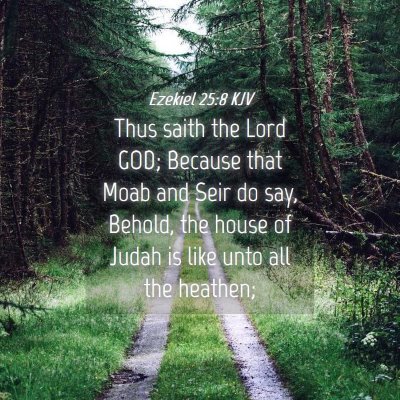 Picture 04 - Ezekiel 25:8 KJV - Thus saith the Lord GOD; Because that Moab and - Bible Verse Picture