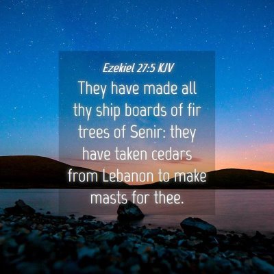 Picture 04 - Ezekiel 27:5 KJV - They have made all thy ship boards of fir trees - Bible Verse Picture