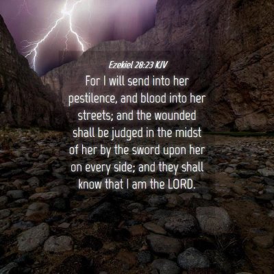 Picture 04 - Ezekiel 28:23 KJV - For I will send into her pestilence, and blood - Bible Verse Picture