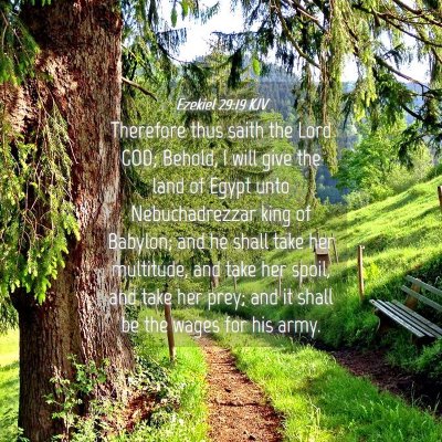 Picture 04 - Ezekiel 29:19 KJV - Therefore thus saith the Lord GOD; Behold, I will - Bible Verse Picture