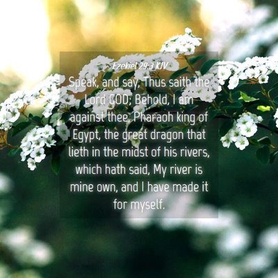 Picture 04 - Ezekiel 29:3 KJV - Speak, and say, Thus saith the Lord GOD; Behold, - Bible Verse Picture