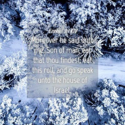 Picture 04 - Ezekiel 3:1 KJV - Moreover he said unto me, Son of man, eat that - Bible Verse Picture