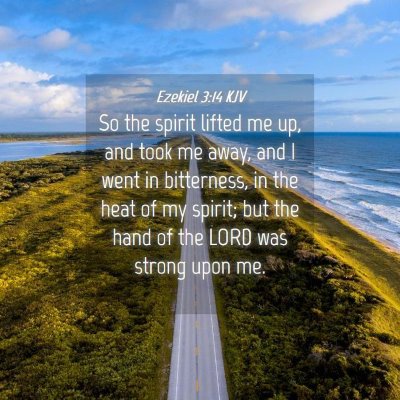 Picture 04 - Ezekiel 3:14 KJV - So the spirit lifted me up, and took me away, and - Bible Verse Picture
