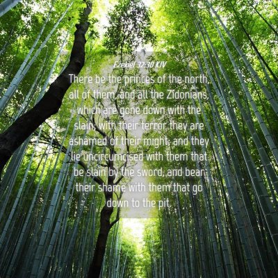 Picture 04 - Ezekiel 32:30 KJV - There be the princes of the north, all of them, - Bible Verse Picture