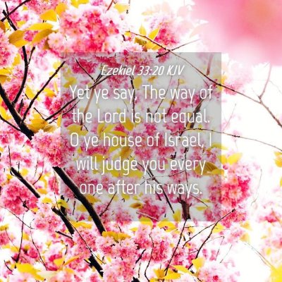 Picture 04 - Ezekiel 33:20 KJV - Yet ye say, The way of the Lord is not equal. O - Bible Verse Picture