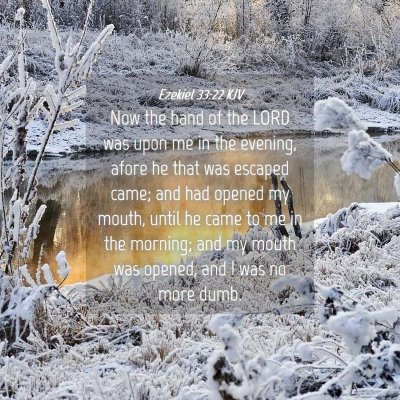 Picture 04 - Ezekiel 33:22 KJV - Now the hand of the LORD was upon me in the - Bible Verse Picture