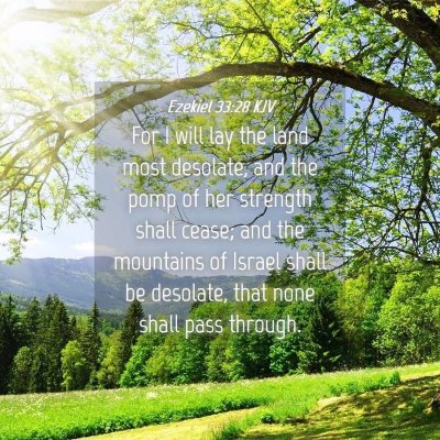 Picture 04 - Ezekiel 33:28 KJV - For I will lay the land most desolate, and the - Bible Verse Picture