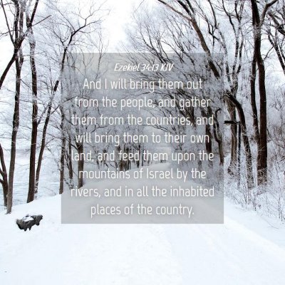 Picture 04 - Ezekiel 34:13 KJV - And I will bring them out from the people, and - Bible Verse Picture