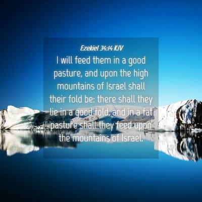 Picture 04 - Ezekiel 34:14 KJV - I will feed them in a good pasture, and upon the - Bible Verse Picture