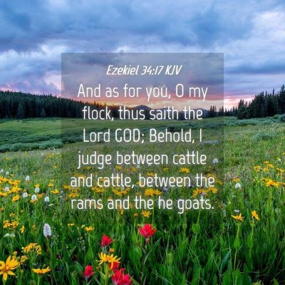 Picture 04 - Ezekiel 34:17 KJV - And as for you, O my flock, thus saith the Lord - Bible Verse Picture
