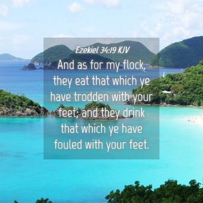 Picture 04 - Ezekiel 34:19 KJV - And as for my flock, they eat that which ye have - Bible Verse Picture