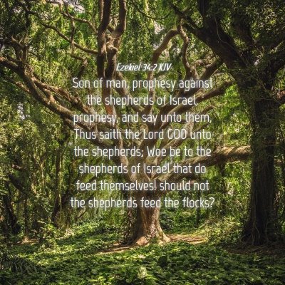 Picture 04 - Ezekiel 34:2 KJV - Son of man, prophesy against the shepherds of - Bible Verse Picture