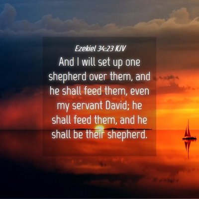 Picture 04 - Ezekiel 34:23 KJV - And I will set up one shepherd over them, and he - Bible Verse Picture