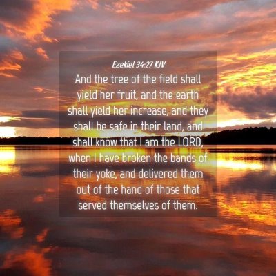 Picture 04 - Ezekiel 34:27 KJV - And the tree of the field shall yield her fruit, - Bible Verse Picture