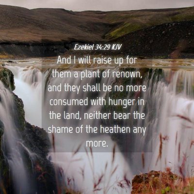 Picture 04 - Ezekiel 34:29 KJV - And I will raise up for them a plant of renown, - Bible Verse Picture
