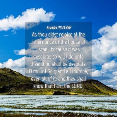 Picture 04 - Ezekiel 35:15 KJV - As thou didst rejoice at the inheritance of the - Bible Verse Picture