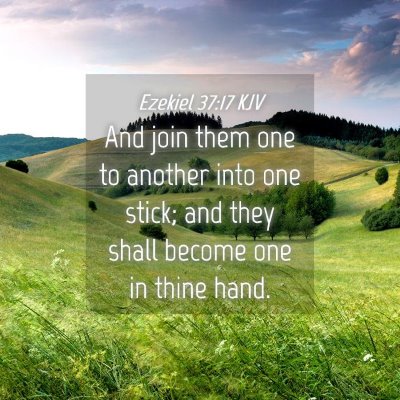 Picture 04 - Ezekiel 37:17 KJV - And join them one to another into one stick; and - Bible Verse Picture