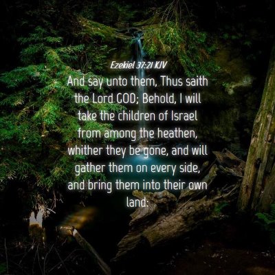 Picture 04 - Ezekiel 37:21 KJV - And say unto them, Thus saith the Lord GOD; - Bible Verse Picture
